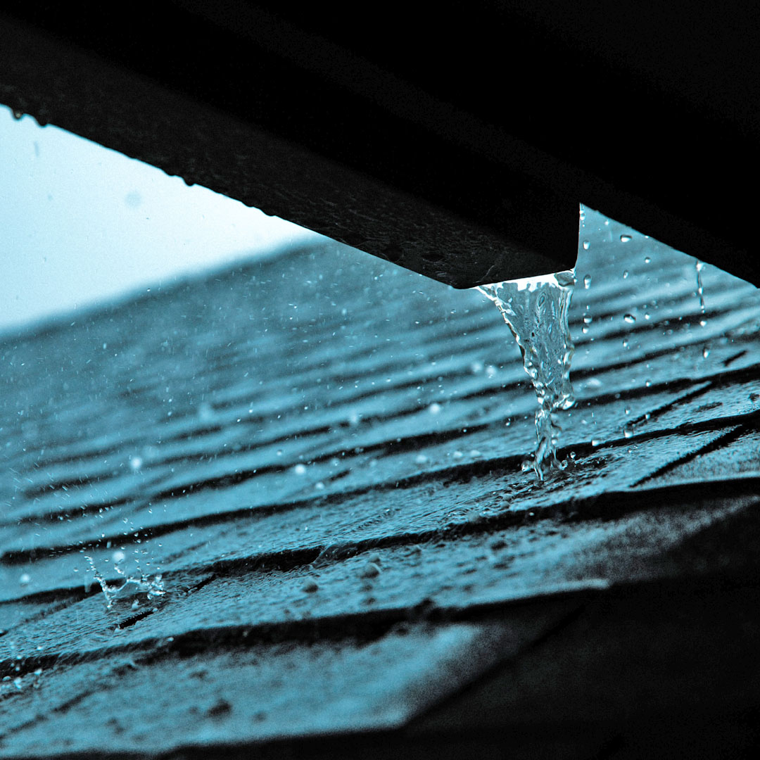 SHINGLE
